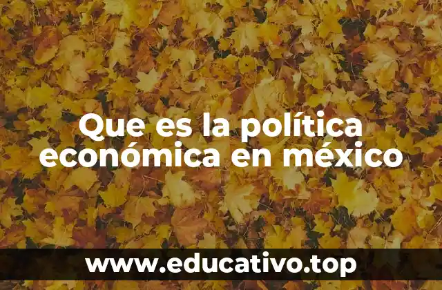 Que es la política económica en méxico