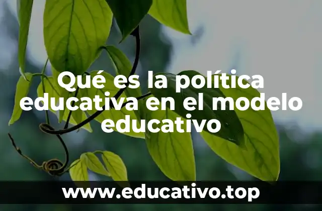 La relación entre políticas y modelos educativos