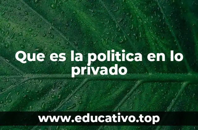 Que es la politica en lo privado