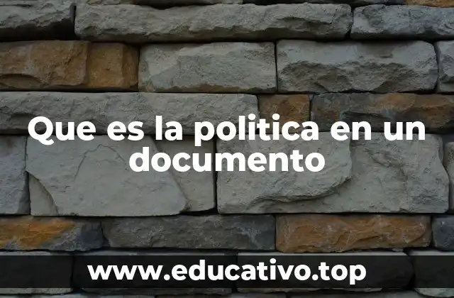 Que es la politica en un documento