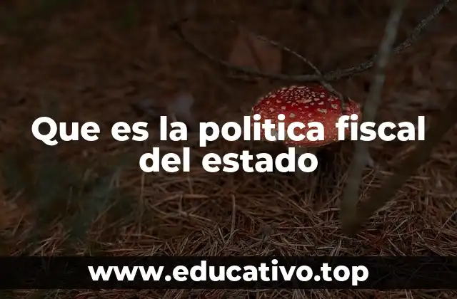 Que es la politica fiscal del estado