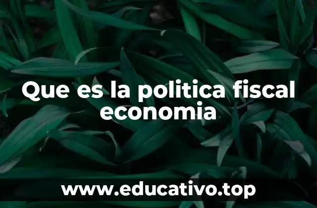 Que es la politica fiscal economia