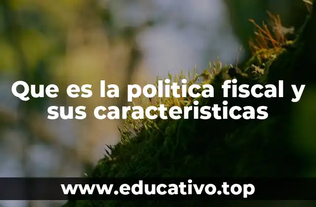 Que es la politica fiscal y sus caracteristicas