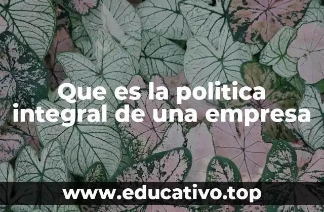 Que es la politica integral de una empresa
