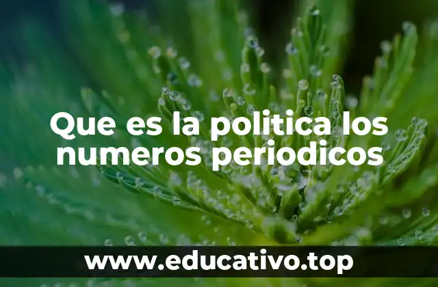 Que es la politica los numeros periodicos