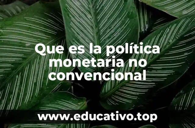Que es la política monetaria no convencional