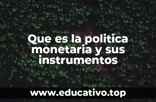 Que es la politica monetaria y sus instrumentos