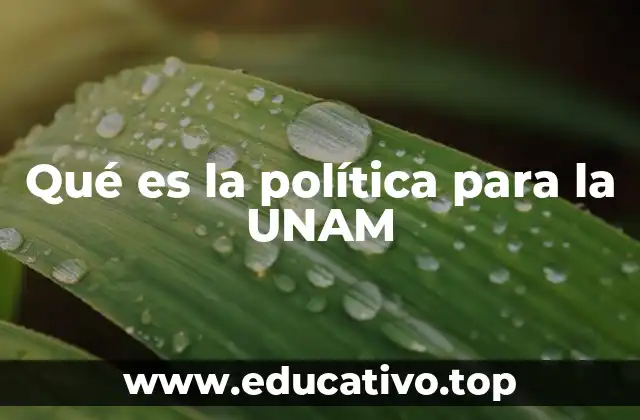 Qué es la política para la UNAM