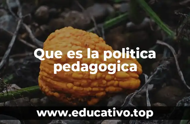 Que es la politica pedagogica