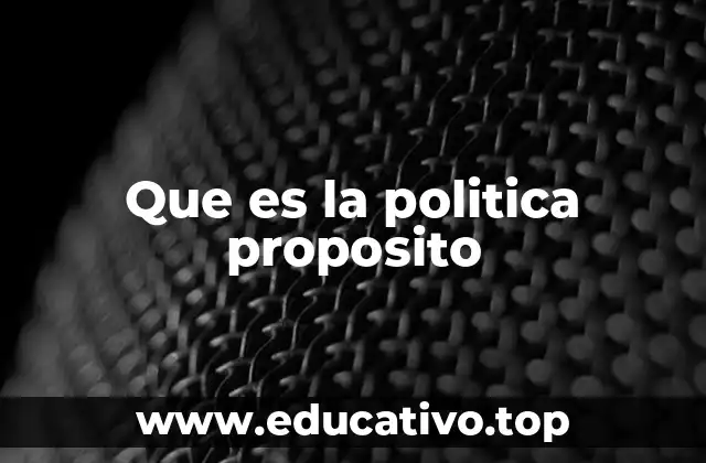 Que es la politica proposito