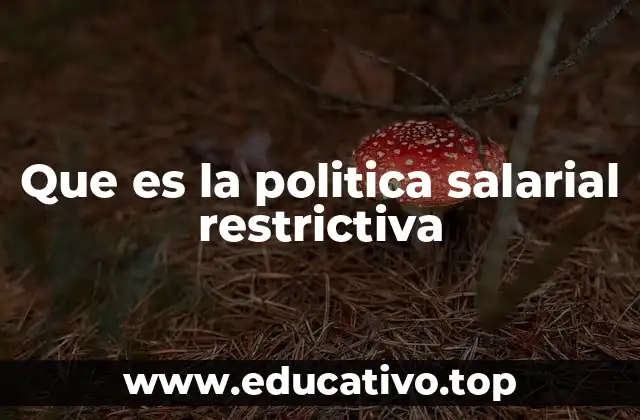 Que es la politica salarial restrictiva
