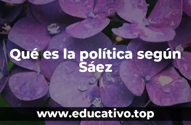 Qué es la política según Sáez
