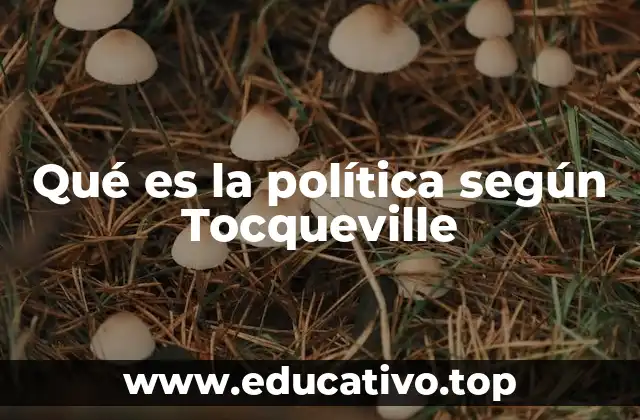 Qué es la política según Tocqueville
