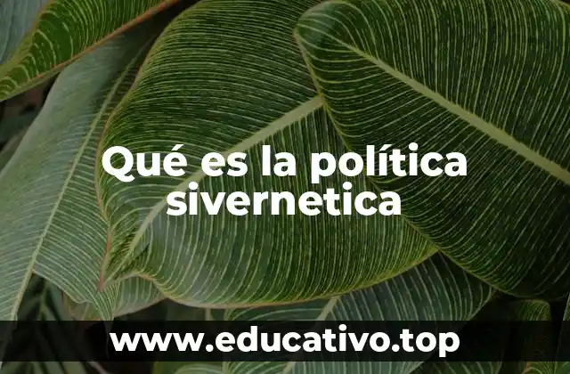 Qué es la política sivernetica