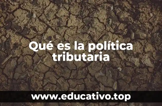 Qué es la política tributaria