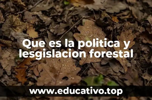 Que es la politica y lesgislacion forestal