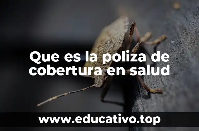 Que es la poliza de cobertura en salud