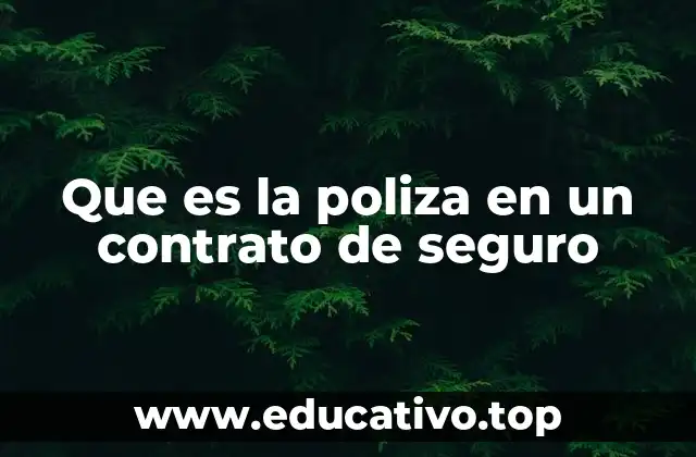 Que es la poliza en un contrato de seguro