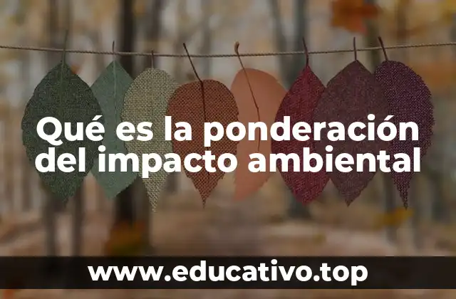 Cómo se relaciona el análisis ambiental con la toma de decisiones