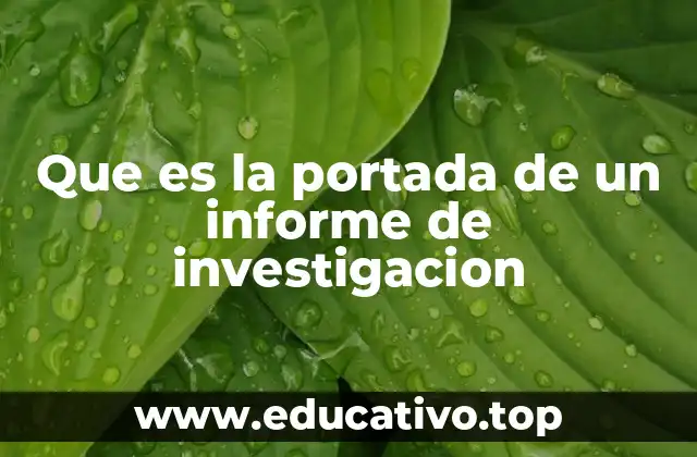 Que es la portada de un informe de investigacion