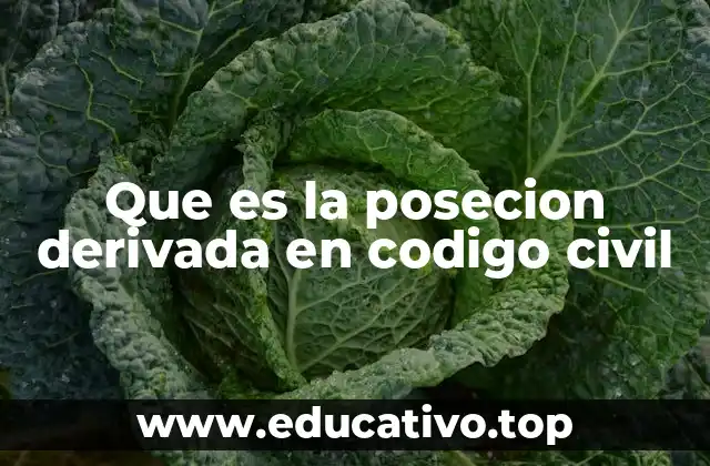 El papel de la posesión derivada en la transmisión de bienes