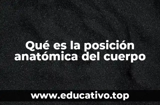 Qué es la posición anatómica del cuerpo