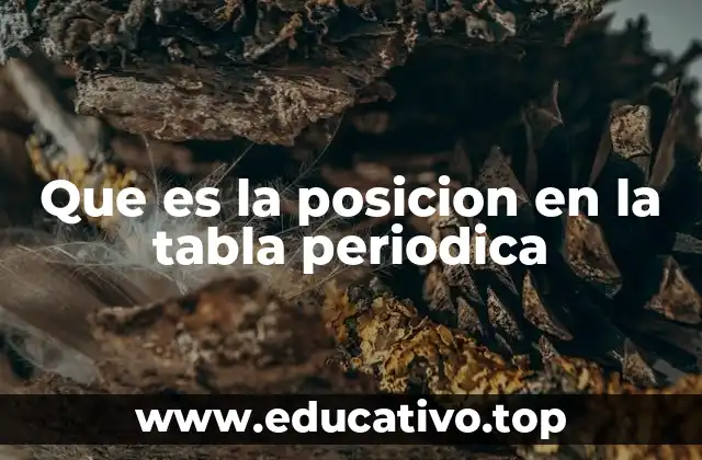 Cómo la tabla periódica organiza la materia