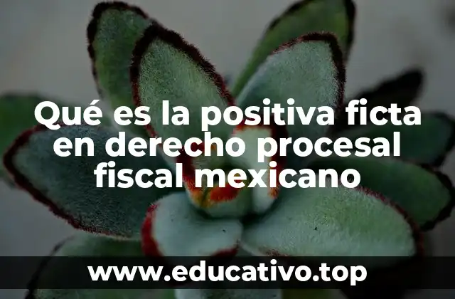 Qué es la positiva ficta en derecho procesal fiscal mexicano