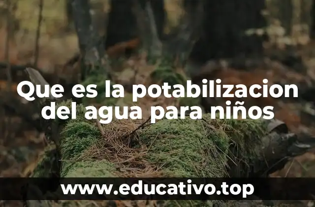 Que es la potabilizacion del agua para niños