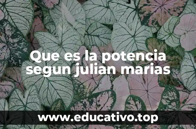 Que es la potencia segun julian marias