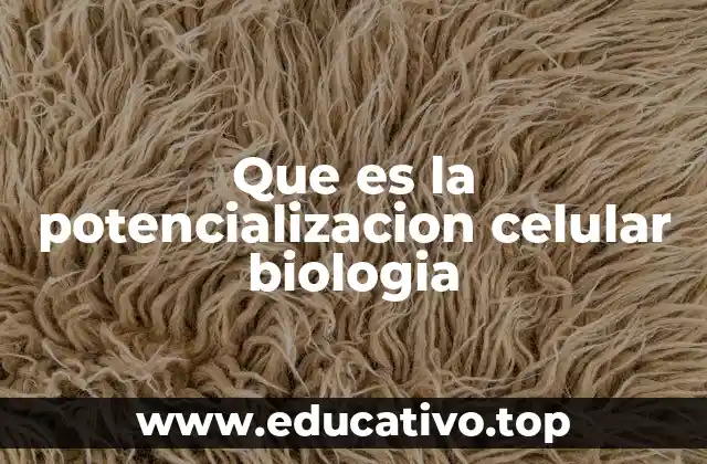 Que es la potencializacion celular biologia