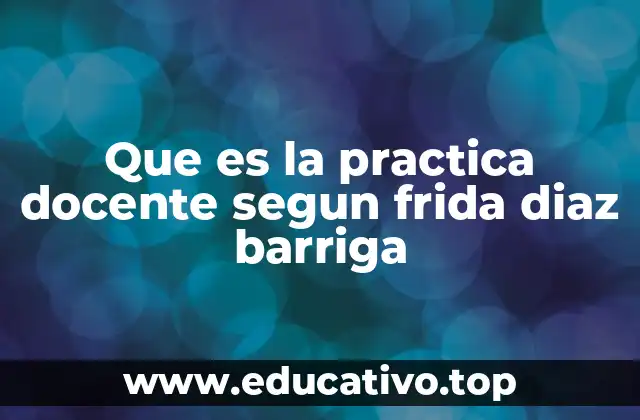 Que es la practica docente segun frida diaz barriga