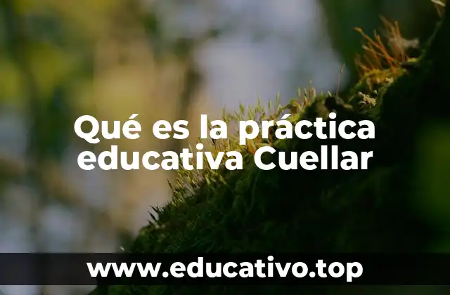 Qué es la práctica educativa Cuellar