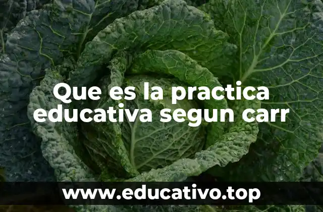 Que es la practica educativa segun carr