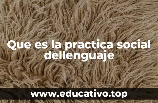 Que es la practica social dellenguaje