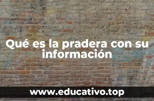 Qué es la pradera con su información