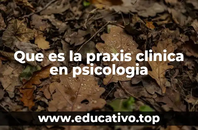 La importancia de la intervención psicológica en contextos reales