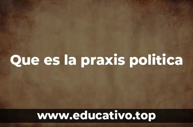 Que es la praxis politica