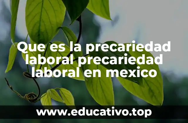 Que es la precariedad laboral precariedad laboral en mexico