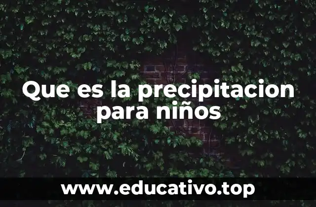 El ciclo del agua y cómo se forma la precipitación