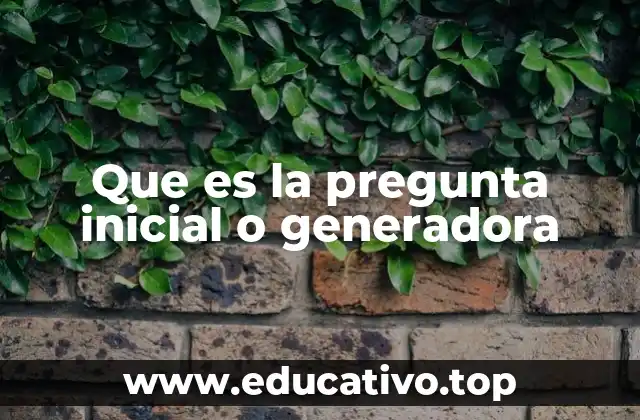 Que es la pregunta inicial o generadora
