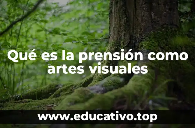 La importancia de la percepción en la apreciación artística