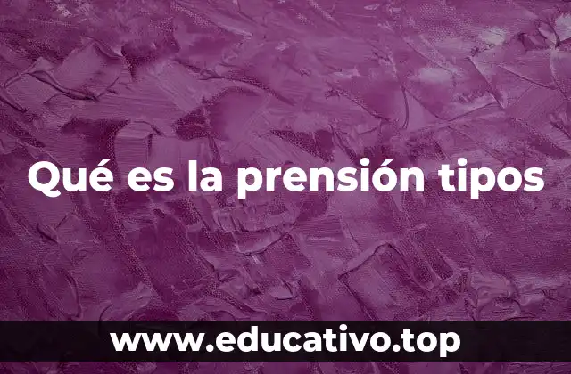 Qué es la prensión tipos