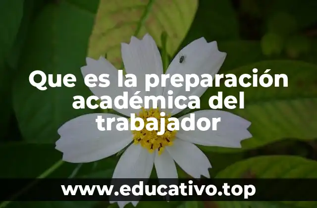 Que es la preparación académica del trabajador