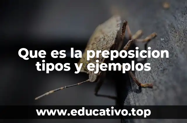 Que es la preposicion tipos y ejemplos