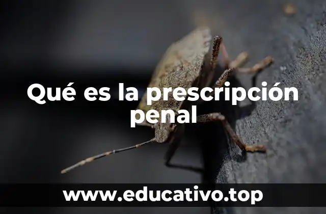 Qué es la prescripción penal