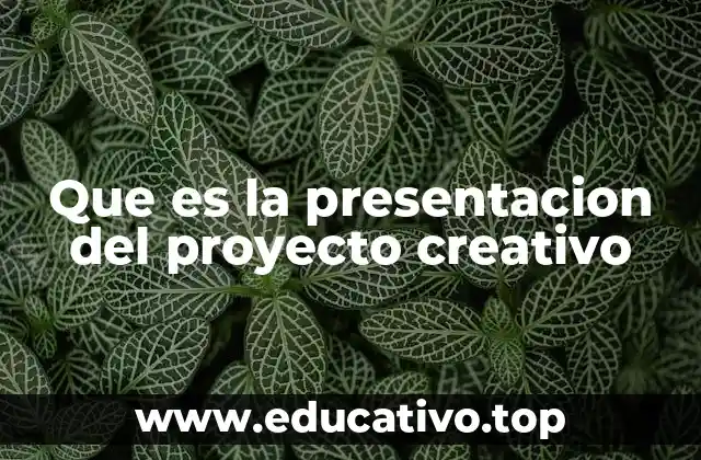 Que es la presentacion del proyecto creativo