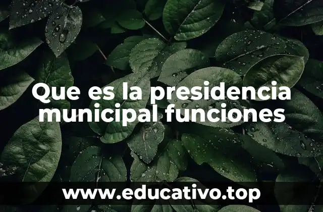 Que es la presidencia municipal funciones