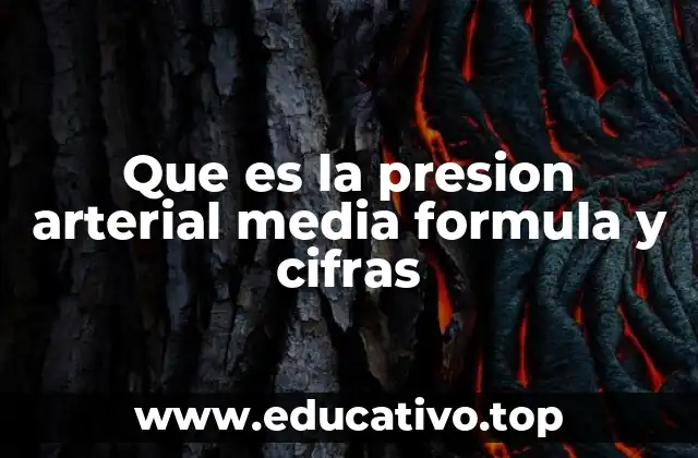 Que es la presion arterial media formula y cifras
