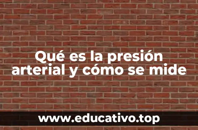 Qué es la presión arterial y cómo se mide